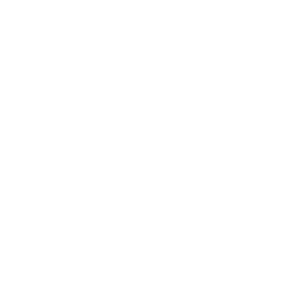 Diagnostic immobilier sur les termites à Port Barcarès