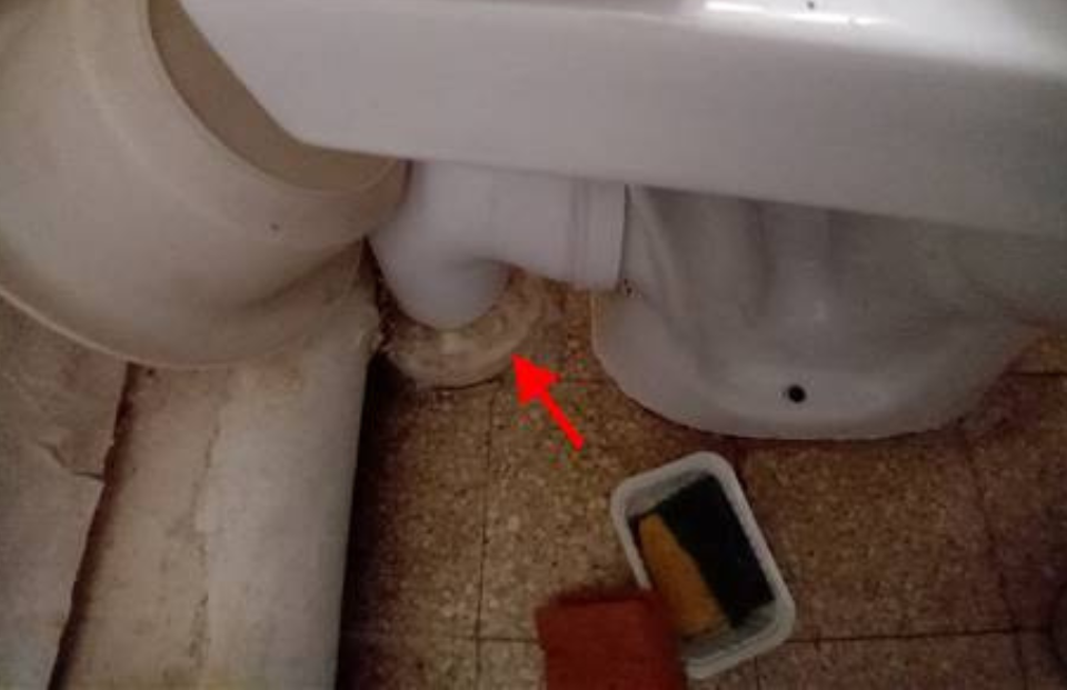 Port Barcarès diagnostic immobilier avec cabinet Jasmin expertise